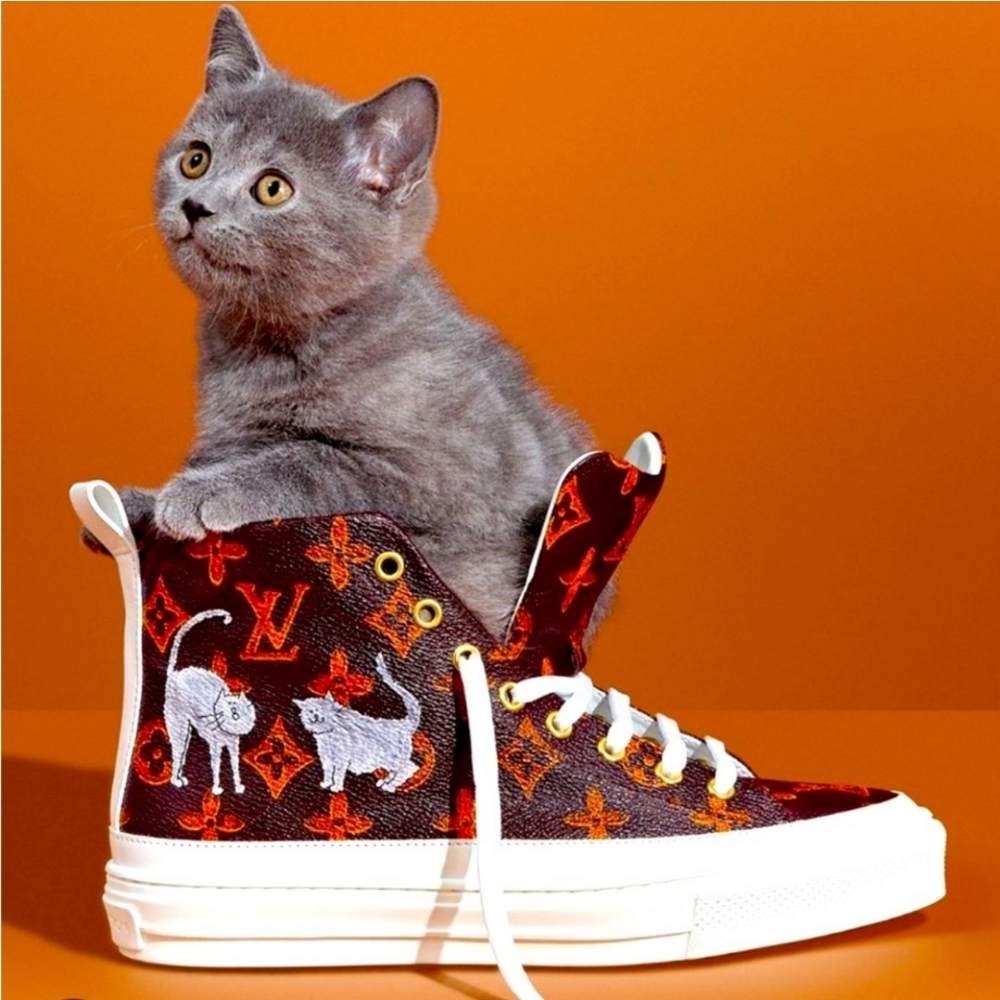 Louis Vuitton Catogram Stellar Sneakers